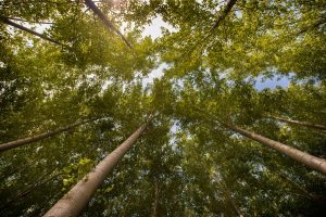 finca zaragoza naturaleza