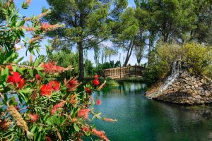 finca en zaragoza en plena naturaleza