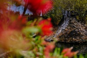 Finca Ínsula Barataria · Bodas y eventos